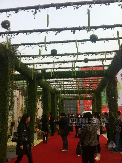 第三届中国四川彭州蔬菜博览会开幕式举行